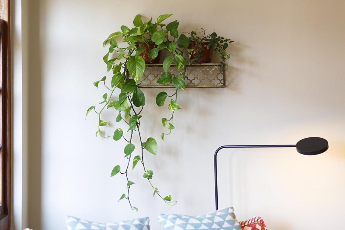 Pontevedra Antigua Apartment Ngoại thất bức ảnh